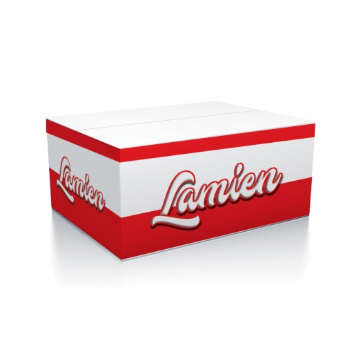 Dökme Noodle<br>10 kg